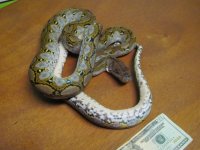 7-21-10 011.jpg