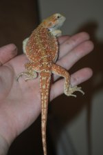 2010 034.jpg