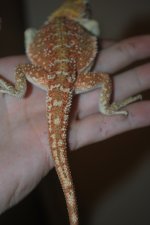 2010 039.jpg