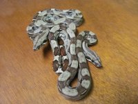 7-21-10 020.jpg
