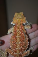 2010 037.jpg