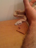 IMG_0101.jpg