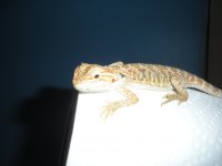 DSCN1657.jpg