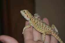 2010 044.jpg