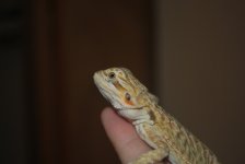 2010 045.jpg