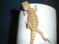 DSCN1658.jpg