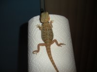 DSCN1659.jpg