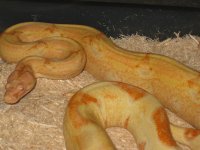 IMG_1492.jpg