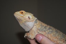 2010 017.jpg