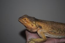 2010 024.jpg