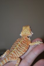 2010 032.jpg