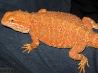 IMG_3012.JPG