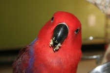 IMG_7881.jpg