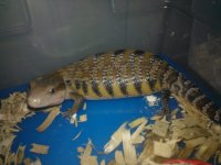 WP_000567.jpg