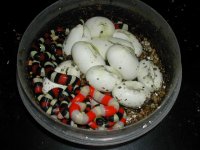 DSCN0835.JPG