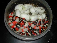 DSCN0836.JPG