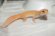 IMG_6586.jpg