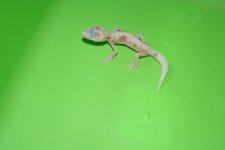 IMG_2502.jpg