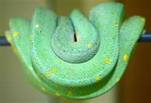 95624_212480_VeryLarge_oTRCl6R7QiaQgV7.jpg 95624_212480_VeryLarge_oTRCl6R7QiaQgV7.jpg
