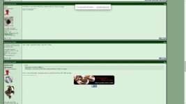 ringer2.jpg