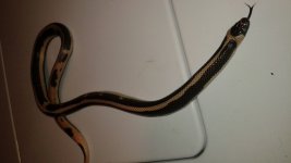 20151119_211408.jpg