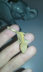 20151209_212438.jpg
