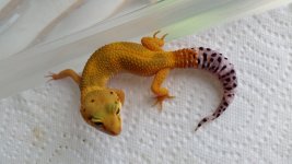 20150813_154539.jpg