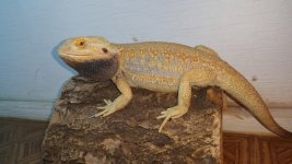 20150827_183125.jpg