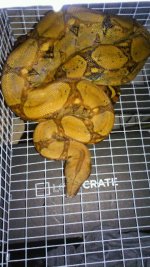20150713_222357.jpg
