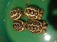 IMG_1255[1].jpg