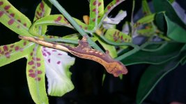 20150630_150837.jpg