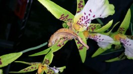 20150630_150209.jpg
