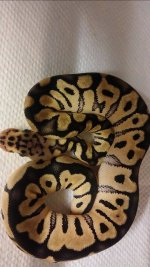 Facebook-20150925-120311.jpg