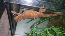 20150730_192304.jpg