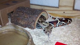 2012-05-03_20-18-05_593.jpg