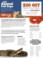 online-flyer.jpg