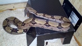 2011-08-23_22-13-01_223.jpg