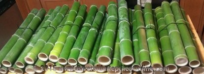 bamboo2b.jpg