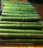 bamboo2a.jpg