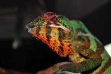 IMG_1494.jpg