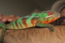 IMG_1414.jpg