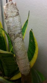 20150722_085335.jpg