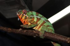 IMG_1493.jpg