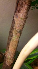 20150722_085308.jpg