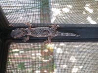20150702_154108.jpg