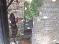 20150702_154040.jpg