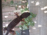 20150702_154049.jpg