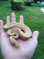 banana4.jpg