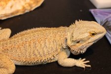 IMG_5043.jpg