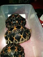 CYMERA_20150903_213217.jpg